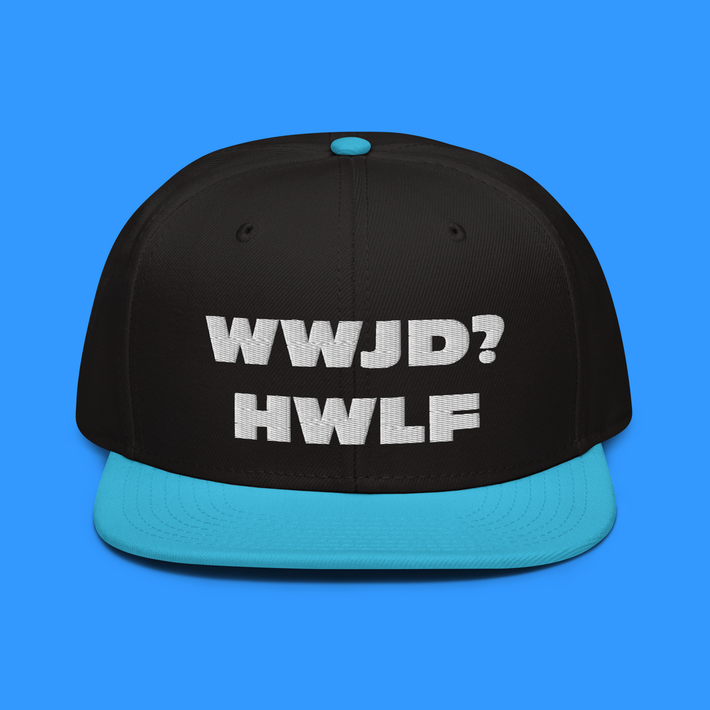 Snapback Hat – WWJD? HWLF (17 variations)